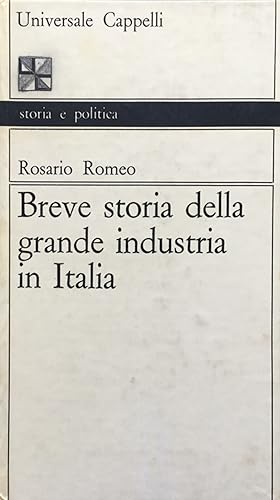 Seller image for Breve storia della grande industria in Italia for sale by TORRE DI BABELE