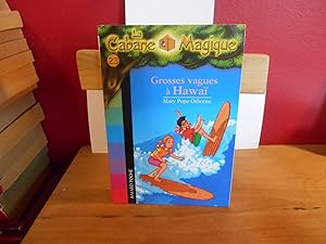 La cabane magique, Tome 23 : Grosses vagues à Hawaï