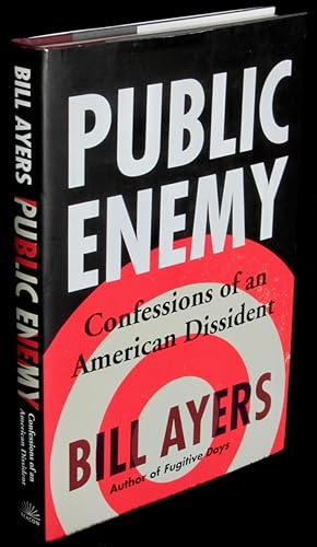 Public Enemy: Confessions of an American Dissident