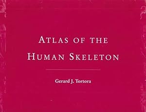 Atlas of the Human Skeleton