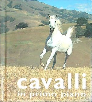 Seller image for Cavalli in primo piano for sale by Librodifaccia