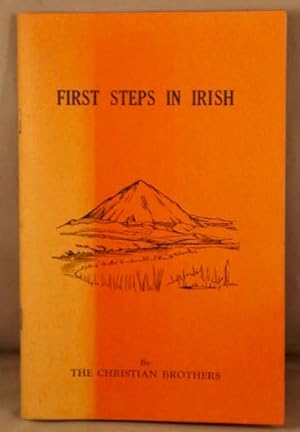 First Steps in Irish.