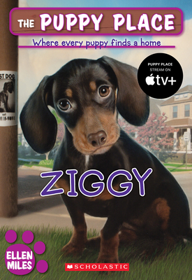 Imagen del vendedor de Ziggy (Paperback or Softback) a la venta por BargainBookStores