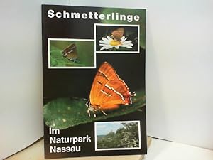 Schmetterlinge im Naturpark