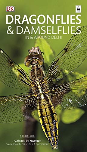 Seller image for Dragonflies & Damselflies in & around Delhi: A Field Guide for sale by PEMBERLEY NATURAL HISTORY BOOKS BA, ABA
