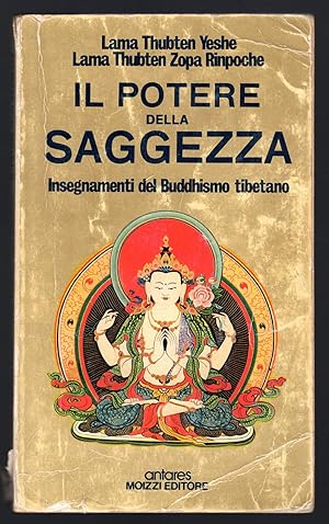 Bild des Verkufers fr Il potere della saggezza. Insegnamenti del Buddhismo tibetano zum Verkauf von Sergio Trippini