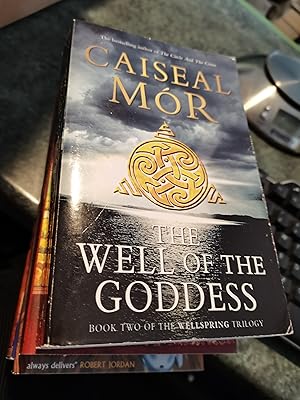 Imagen del vendedor de The Well of The Goddess: Book Two of The Wellspring Trilogy a la venta por SGOIS