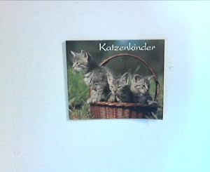 Bild des Verkufers fr Katzenkinder. Ein Bilderbuch zum Verkauf von ANTIQUARIAT FRDEBUCH Inh.Michael Simon