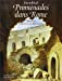 Image du vendeur pour promenades dans Rome [FRENCH LANGUAGE - Soft Cover ] mis en vente par booksXpress