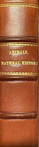 A Description of above Three Hundred Animals; or an Interesting Natural History of Quadrupeds, Bi...