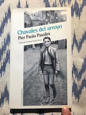 Seller image for Chavales del arroyo for sale by Campbell Llibres