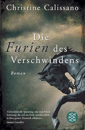 Seller image for Die Furien des Verschwindens: Roman for sale by Gerald Wollermann