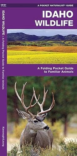 Seller image for Idaho Wildlife (Paperback) for sale by Grand Eagle Retail