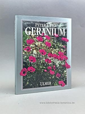 Geranium. Freiland-Geranien für Garten und Park.