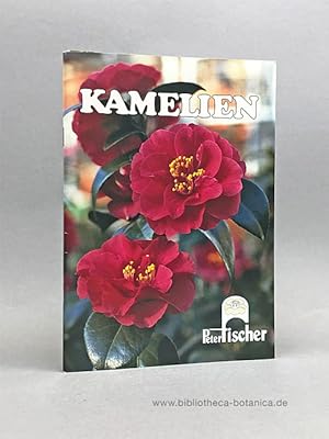 Kamelien. [Katalog]