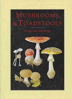 Seller image for MUSHROOMS & TOADSTOOLS for sale by Easton's Books, Inc.