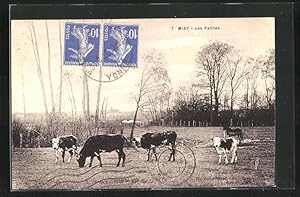 Bild des Verkufers fr Carte postale Misy, Les Patines zum Verkauf von Bartko-Reher