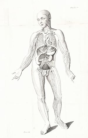 Anatomie des vaisseaux absorbans du corps humain. Ouvrage orné de planches, et traduit de l'angla...