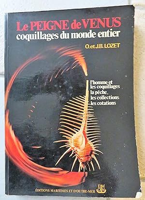 Le peigne de Venus coquillages du monde entier