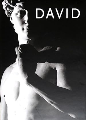 Seller image for David: Michelangelo for sale by LEFT COAST BOOKS