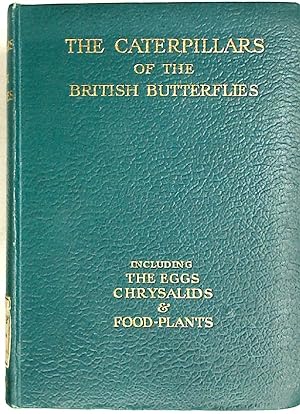 Immagine del venditore per The Caterpillars of the British Butterflies including the Eggs, Chrysalids and Food-Plants. venduto da Plurabelle Books Ltd