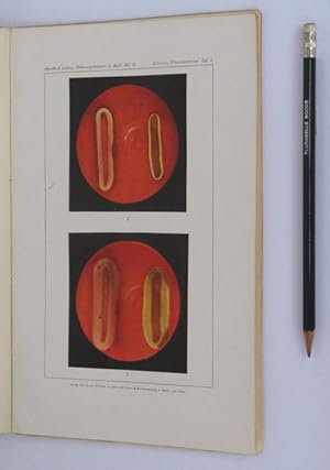 Bild des Verkufers fr Handbuch der pathogenen Mikroorganismen. Dritte Erweiterte Auflage. Band 2, Lieferung 6, 15, 35, 36. zum Verkauf von Plurabelle Books Ltd