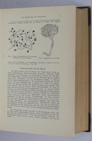 Seller image for Handbuch der pathogenen Mikroorganismen. Zweite vermehrte Auflage. Vol 5. for sale by Plurabelle Books Ltd