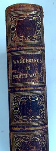 Bild des Verkufers fr Wanderings and Excursions in North Wales. With Fifty - One Engravings by Radclyffe, from Drawings by Cattermole, Cox, Creswick etc. zum Verkauf von Plurabelle Books Ltd