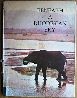 Beneath a Rhodesian Sky
