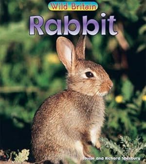 Bild des Verkufers fr Rabbit (Wild Britain) zum Verkauf von WeBuyBooks