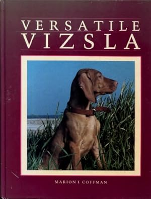 Versatile Vizsla