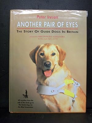 Another Pair Of Eyes Guide Dogs In Britain