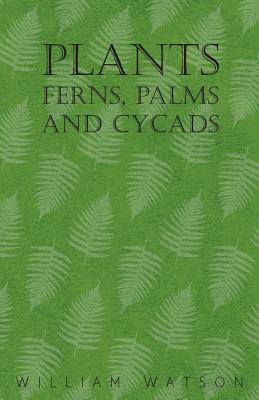 Seller image for Plants - Ferns, Palms and Cycads (Paperback or Softback) for sale by BargainBookStores