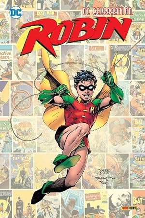 Seller image for DC Celebration: Robin for sale by moluna