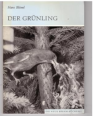 Bild des Verkufers fr Der Grnling zum Verkauf von Bcherpanorama Zwickau- Planitz
