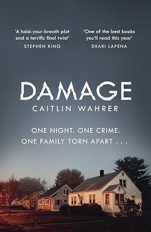 Seller image for Damage: An unputdownable and emotionally gripping debut with a twist you won?t see coming for sale by Alpha 2 Omega Books BA