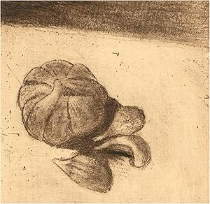 Sheila Yorke (1927-2009) - 20th Century Etching, Garlic