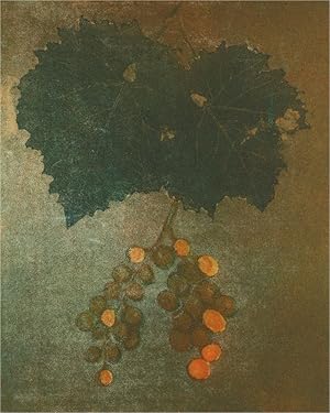 Sheila Yorke (1927-2009) - 2003 Etching, Leaves and Berries