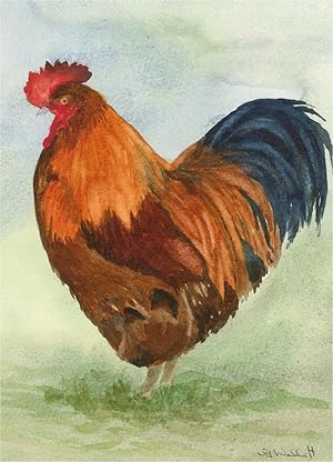 Gwyneth Willitt - Three Contemporary Watercolours, Cockerels
