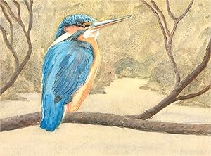 Gwyneth Willitt - Contemporary Watercolour, Kingfisher