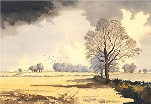 Peter Mason - Contemporary Watercolour, Storm Clouds