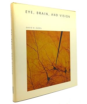 Seller image for EYE, BRAIN, AND VISION for sale by Rare Book Cellar