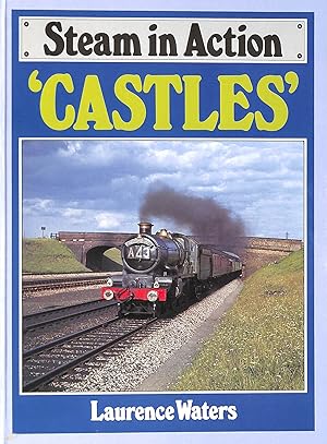 Seller image for Steam in Action: Castles for sale by M Godding Books Ltd
