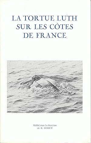 La tortue luth sur les côtes de France