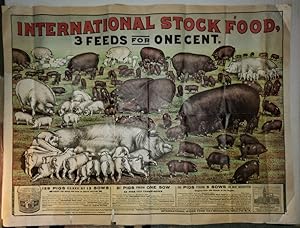 Original Print - "International Stock Food. 3 Feeds for One Cent."