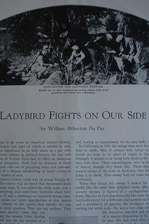 Image du vendeur pour Article: Ladybird Fights on Our Side (Beetles) mis en vente par Hammonds Antiques & Books