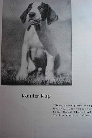 Image du vendeur pour Photo: Pointer Pup From Nature Magazine mis en vente par Hammonds Antiques & Books