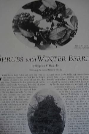 Immagine del venditore per Article: Shrubs with Winter Berries venduto da Hammonds Antiques & Books