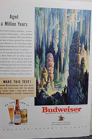 Seller image for Advertisement for Budweiser, America's Social Companion "Aged a Million Years" for sale by Hammonds Antiques & Books