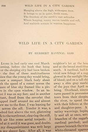 Seller image for Article: Wild Life in a City Garden for sale by Hammonds Antiques & Books